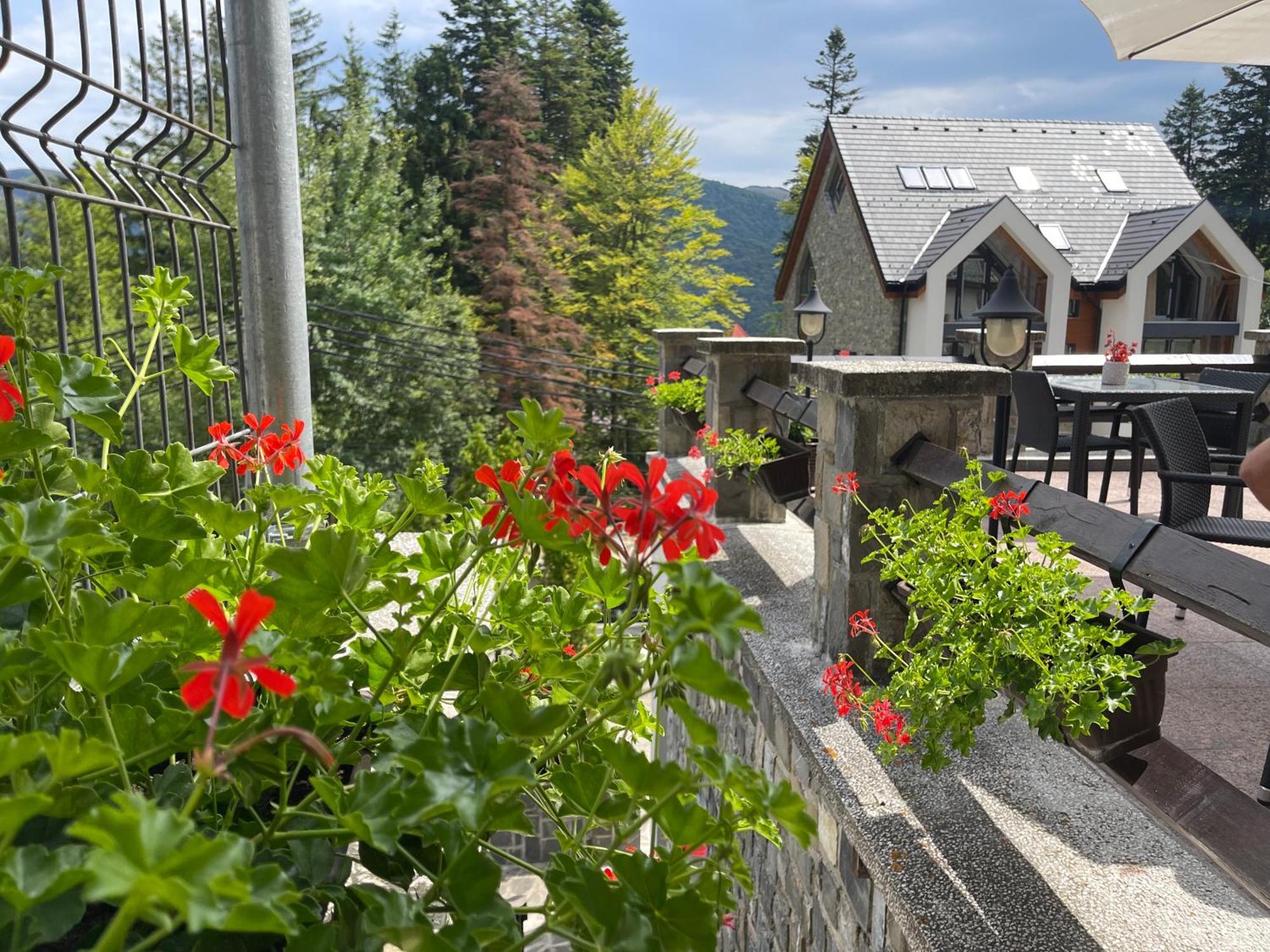 Hotel Vila Terase Sinaia Exterior foto